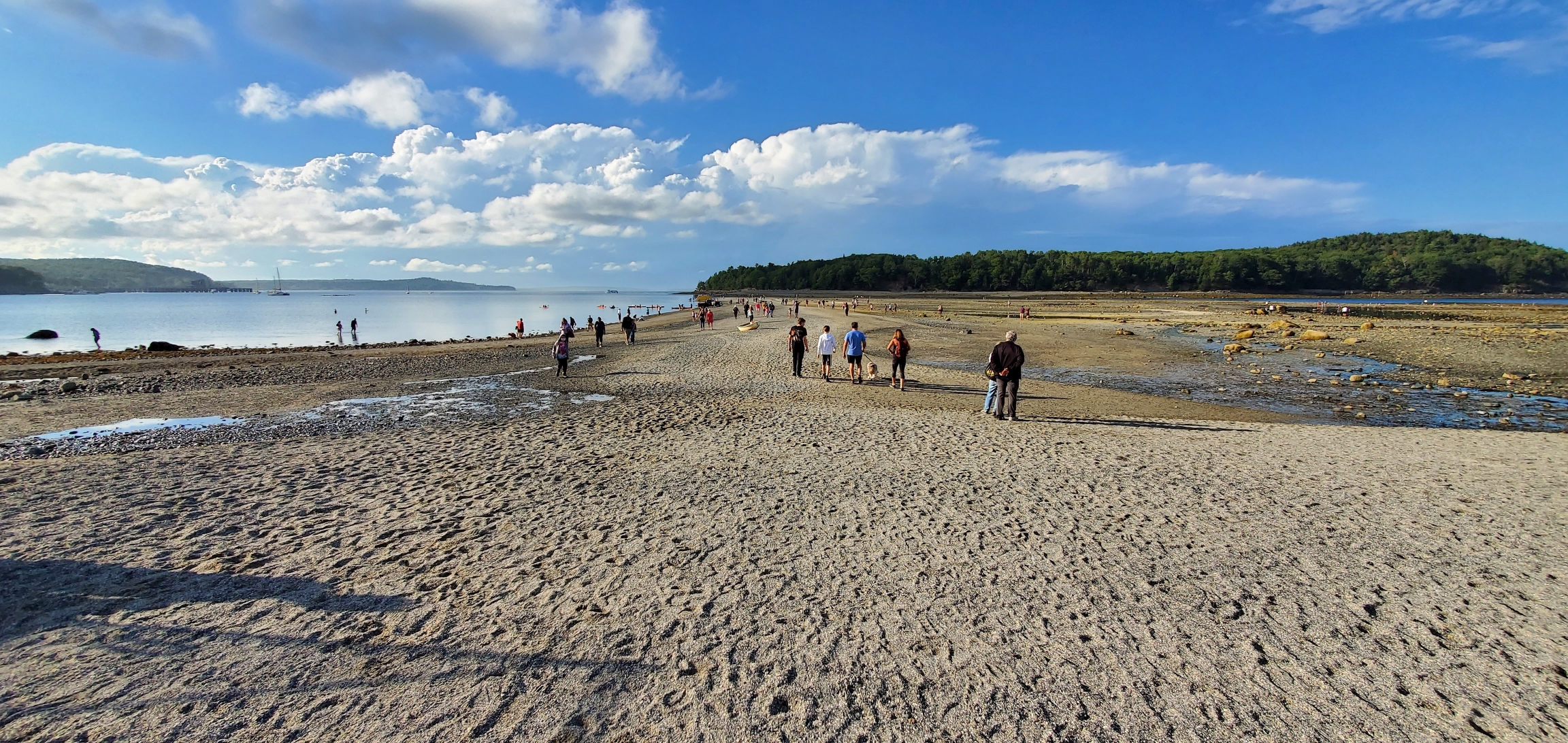 Area Near Bar Harbor Island at Low Tide