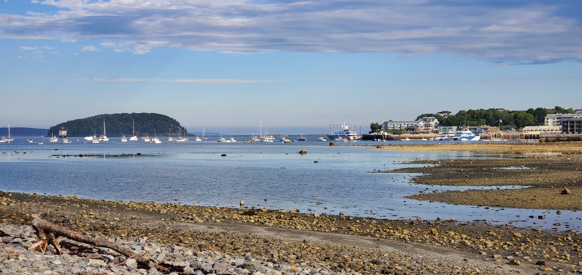 Area Near Bar Harbor Island at Low Tide