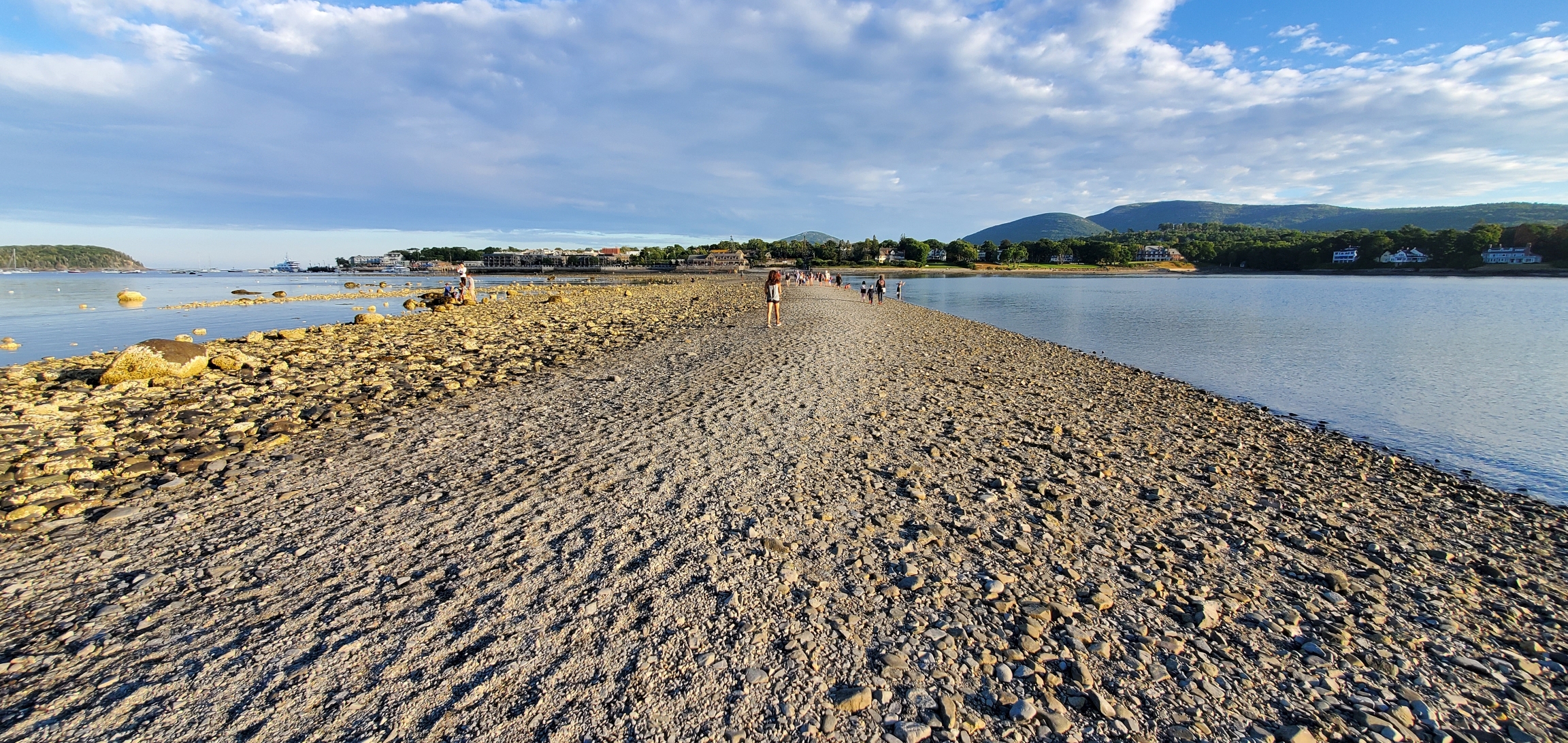 Area Near Bar Harbor Island at Low Tide