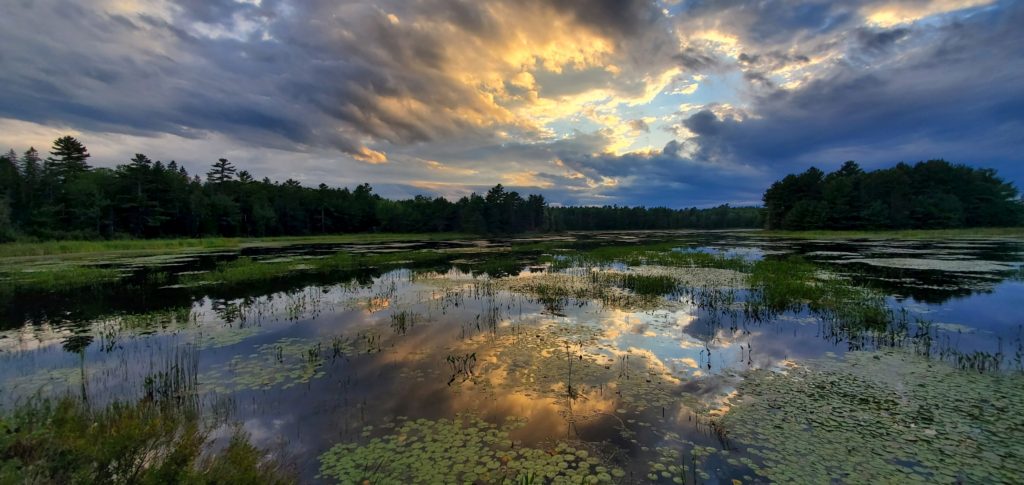 Hamilton Pond on Mt. Desert Island in Maine